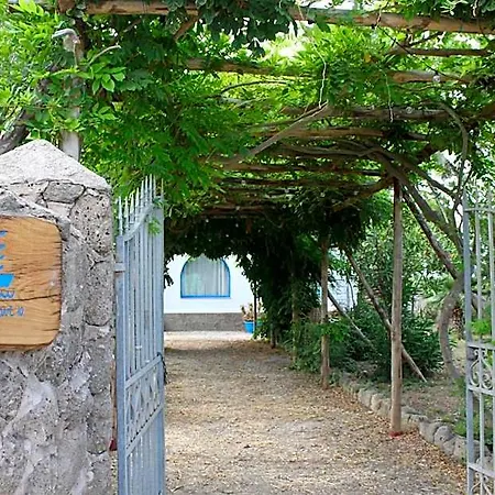 Calanave 10 Forio di Ischia