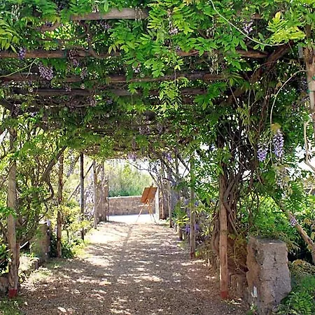 Hotel Calanave 10 Forio di Ischia