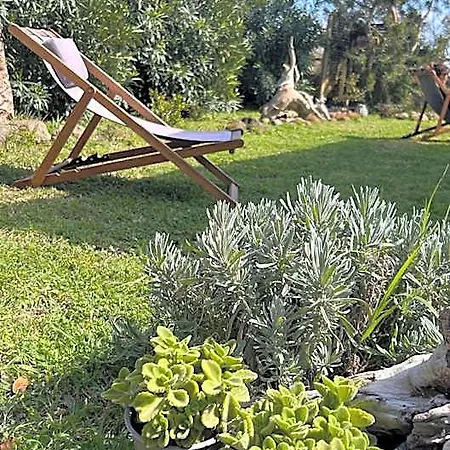 Calanave 10 Hotel Forio di Ischia